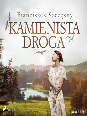 cover image of Kamienista droga